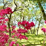 Domaine Baruteau 4* Soustons